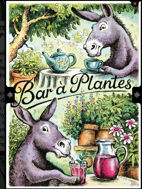 bar à plantes