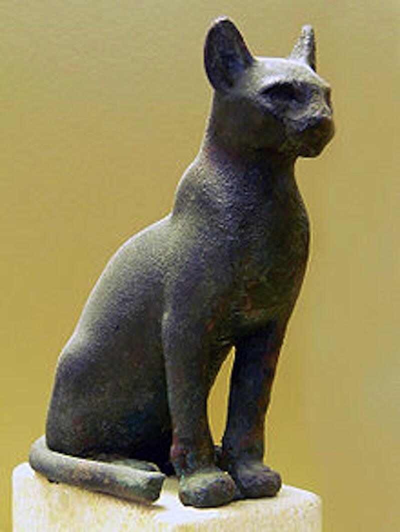 chat égypte ancienne