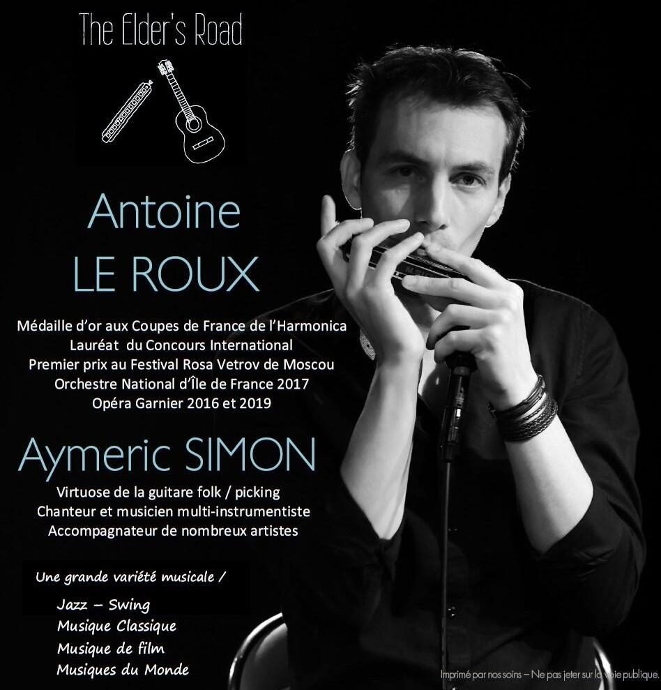 concert-harmonica