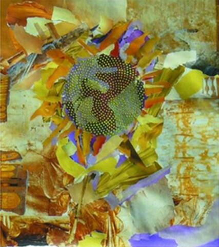 collage @A.DuMoulin