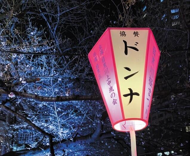 couleurs du Japon©Véronique Cardin