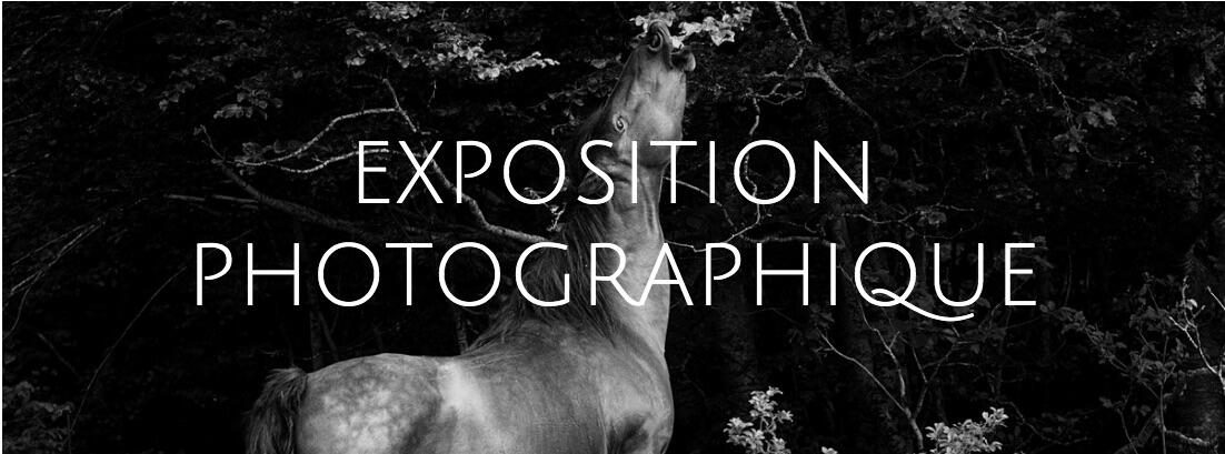 expo-photo-mas-de-peyrelongue