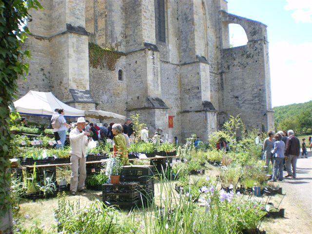 fete plantes leobard 2