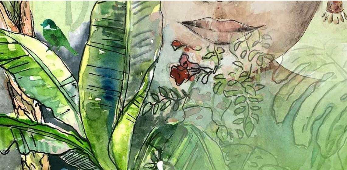 forêt enchantée