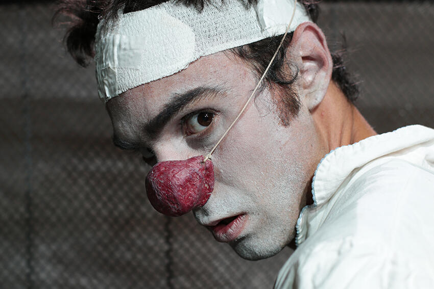 le-delirium-du-papillon-typhus-bronx