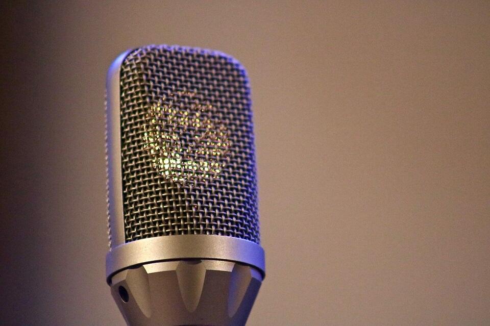 microphone-4046921_1280©pixabay