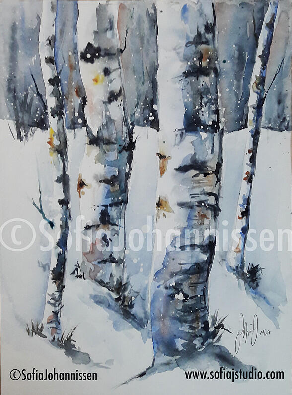 paysage hiver @SofiaJojannissen