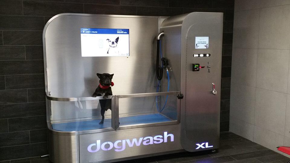 Washdog