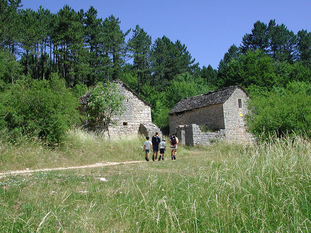 Rando Causse de Mende