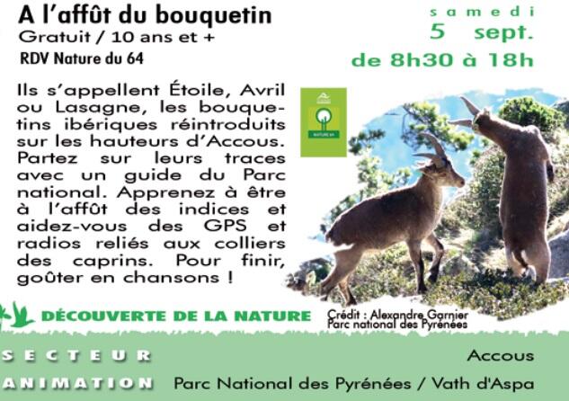 CPIE---l-affut-du-bouquetin