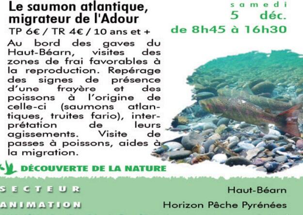 CPIE---le-saumon-de-l-atlantique-migrateur-de-l-adour