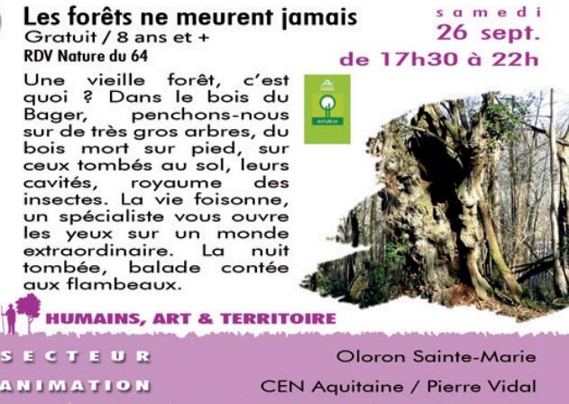 CPIE---les-forets-de-meurent-jamais