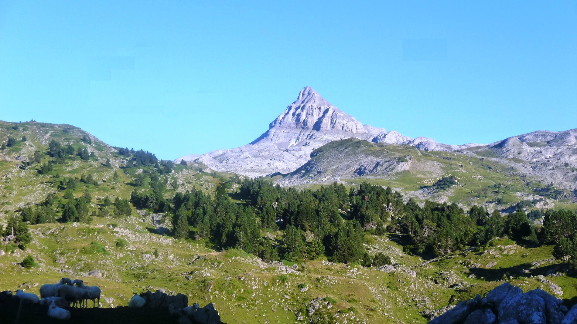 Vue depuis la cabane