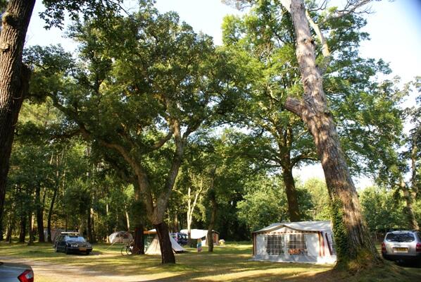 aire narturelle au Gat