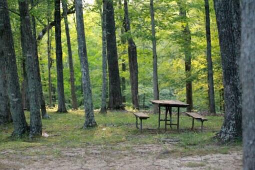 picnic-table-837221__340