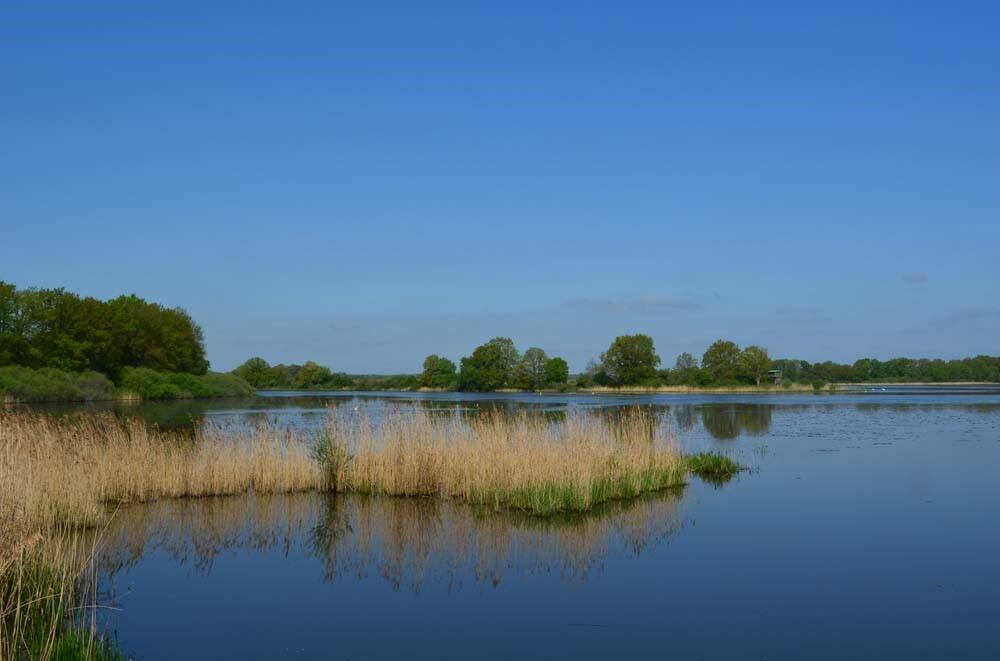 Etangs d'Outines