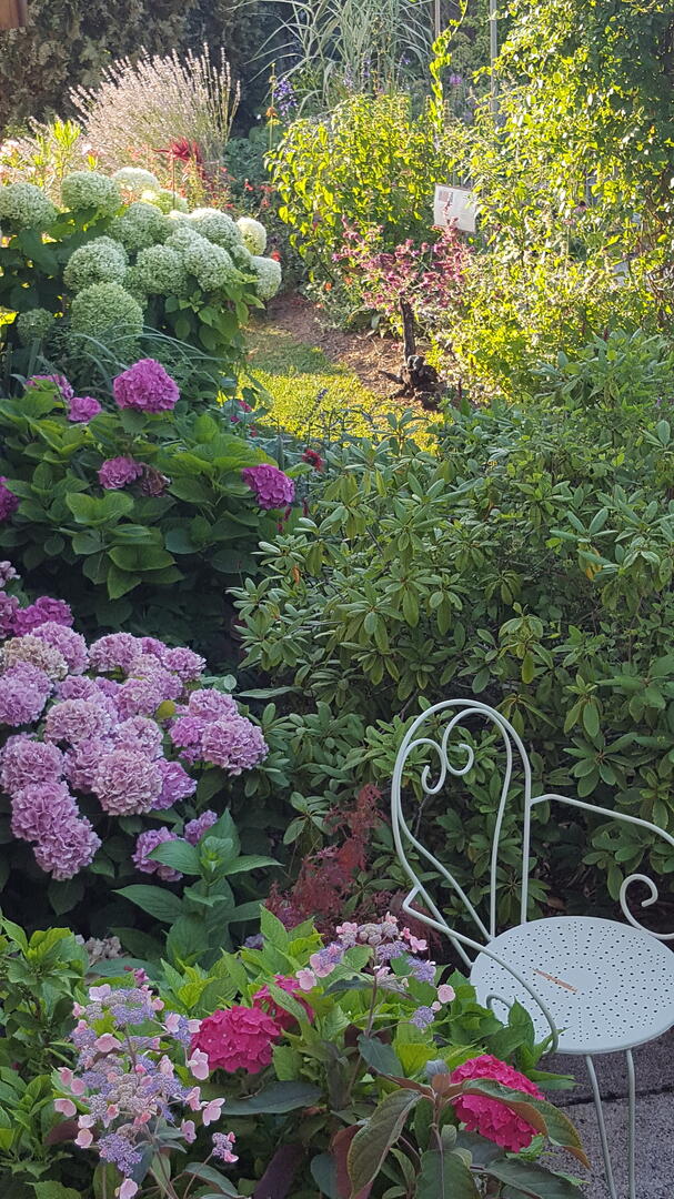 Jardin de Maëlys(4)
