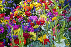 img-name-mising