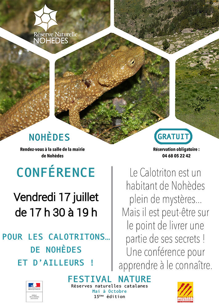 07 Calotritons