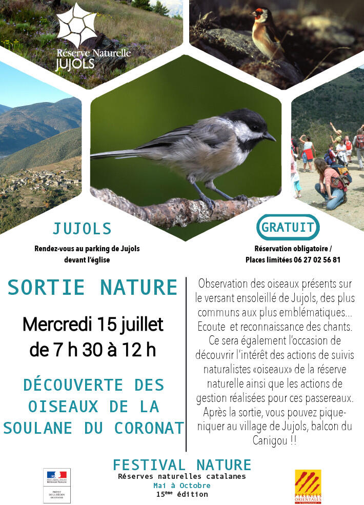 07 oiseaux