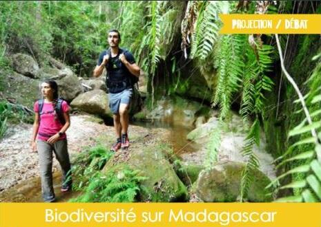 Biodiversité sur Madagascar