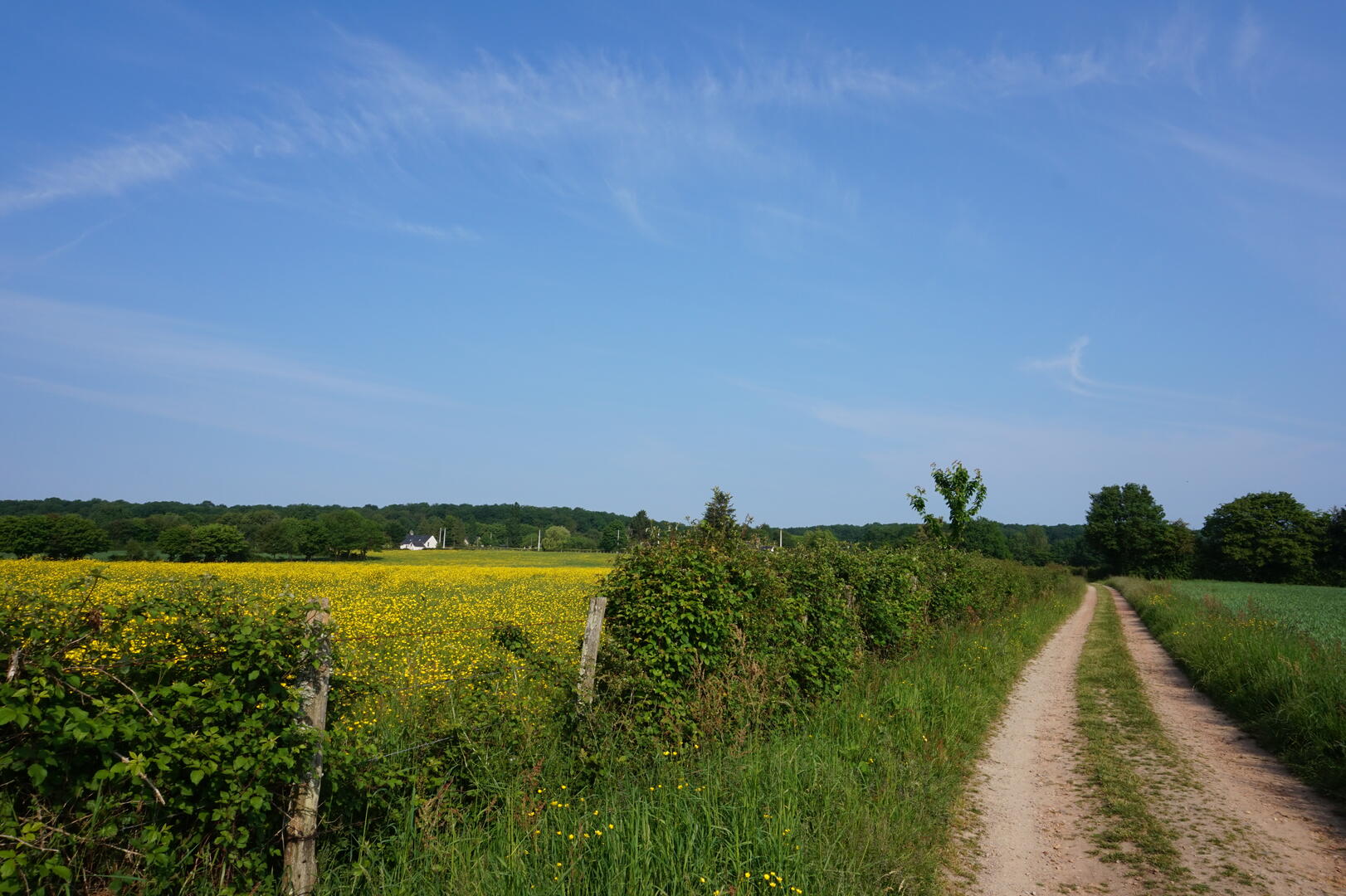 DSC01135