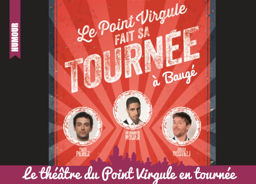 FAM49 Point Virgule