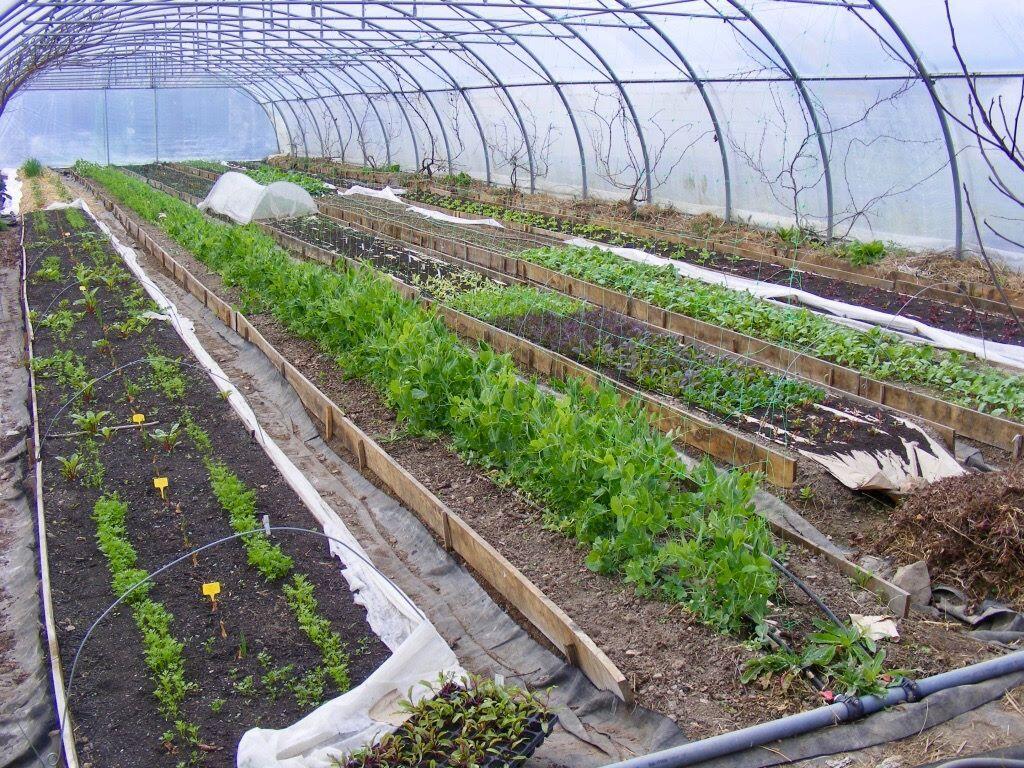 Ferme des Petits Pas_Durtal_cr Ferme des Petits Pas