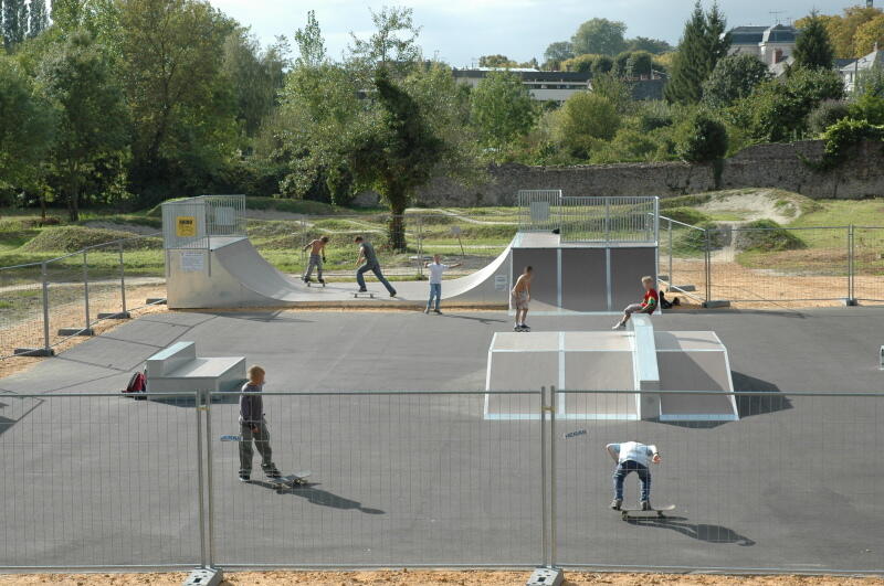 LOI49-skate