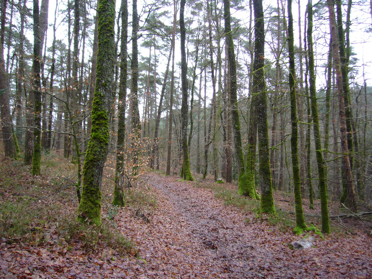 P1050987