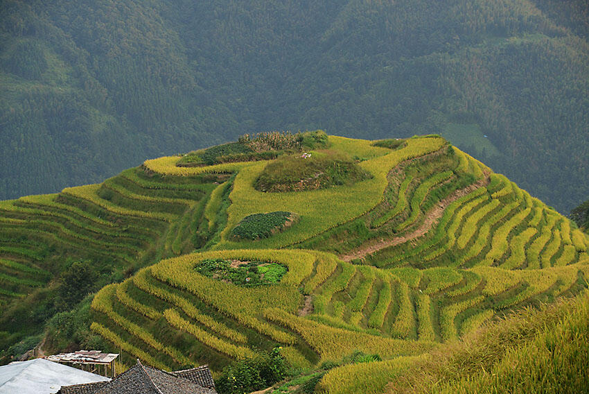 chine-3