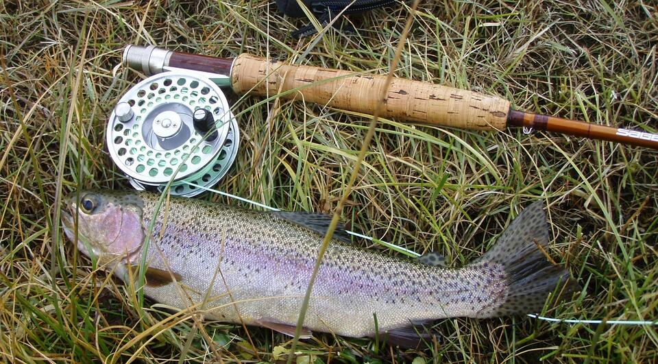 pêche truite pixabay