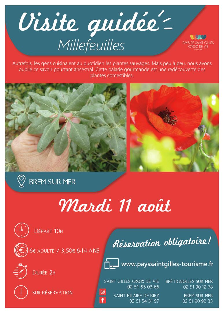Modèle_affiche_VG2020