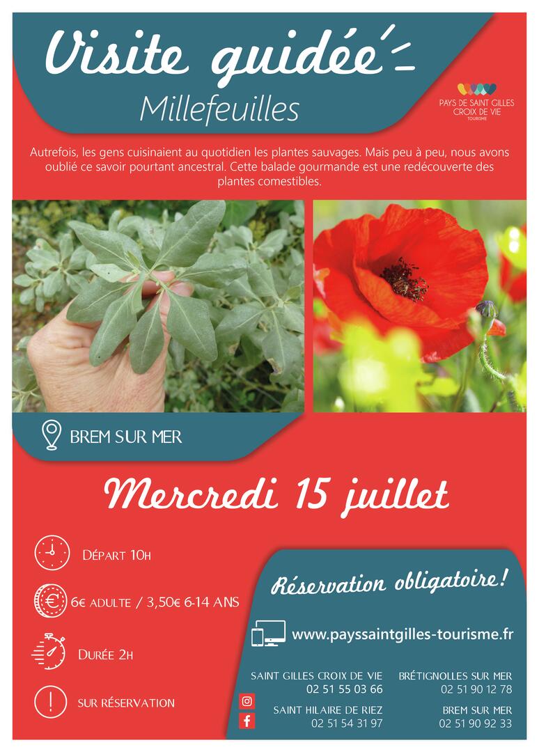 Modèle_affiche_VG2020