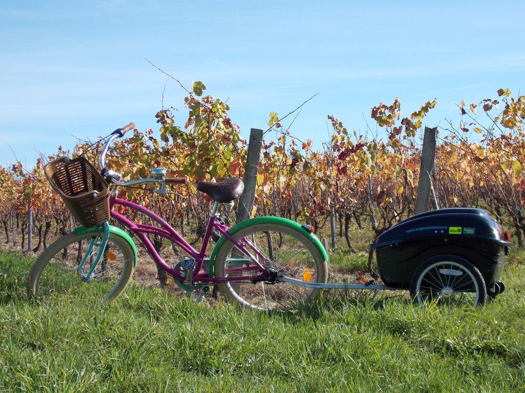 Original-Velo-Tour---Balade-dans-les-vignes-de-Pissotte---Pissotte----PDS---3