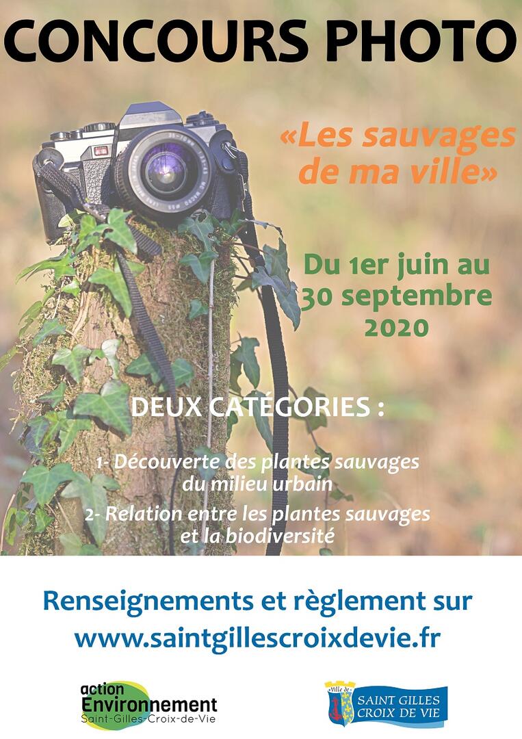 Concours photo 2020