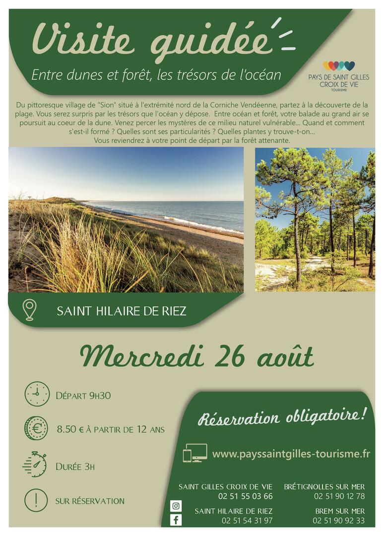 ENTRE DUNES ET FORET_26 aout - ST HILAIRE DE RIEZ