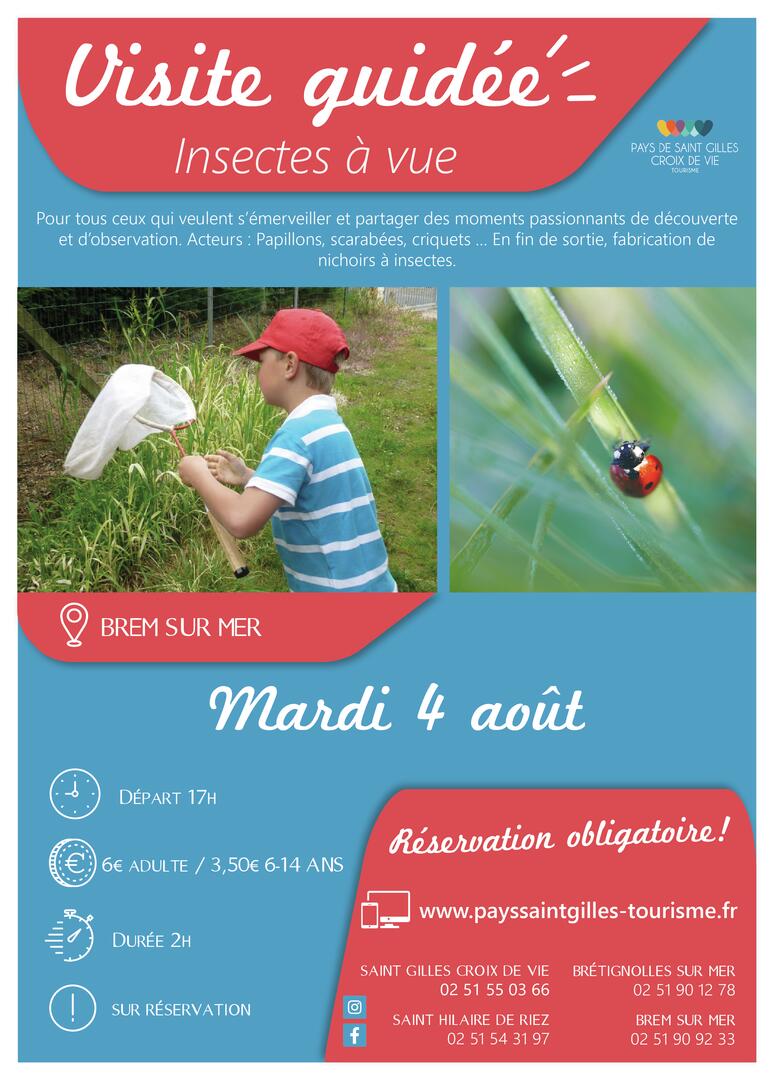 Modèle_affiche_VG2020