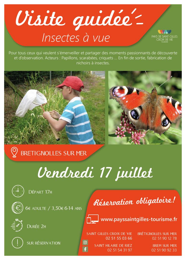 Modèle_affiche_VG2020