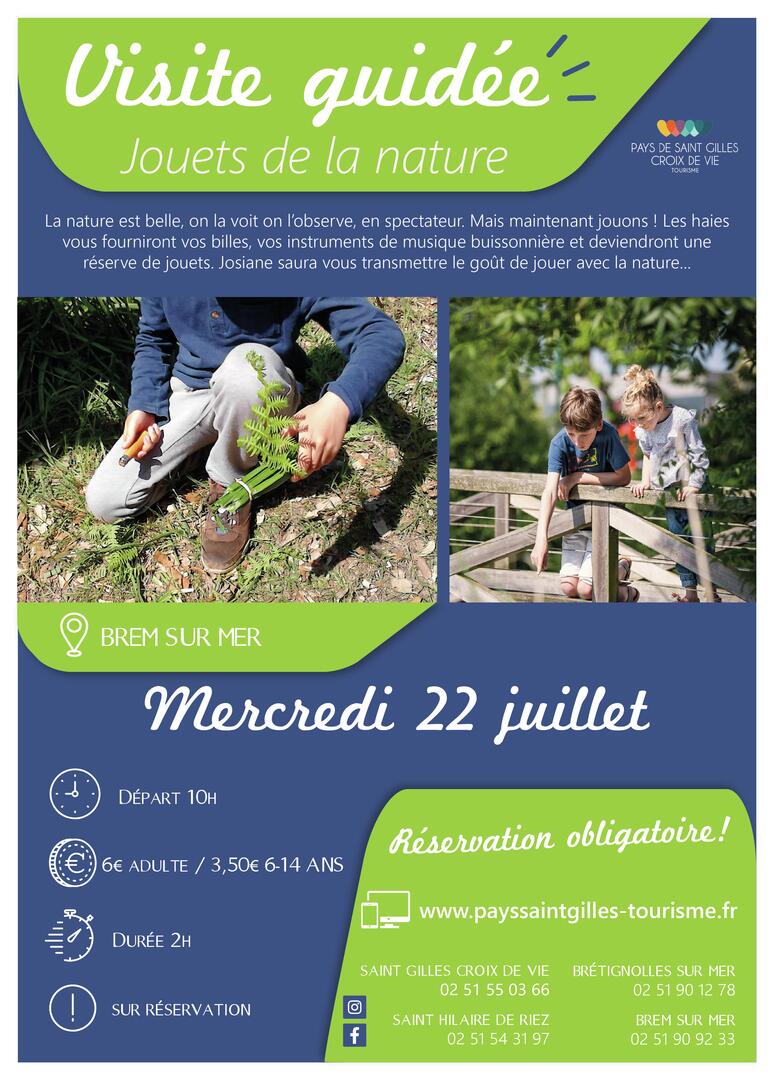 Modèle_affiche_VG2020