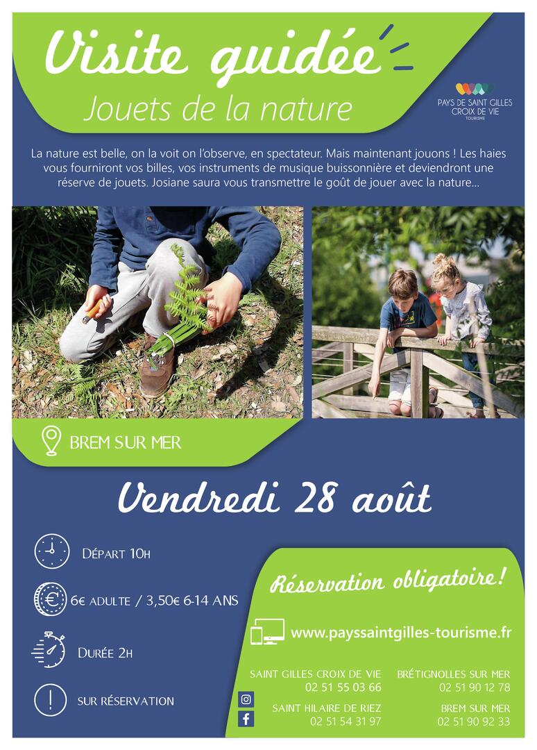Modèle_affiche_VG2020