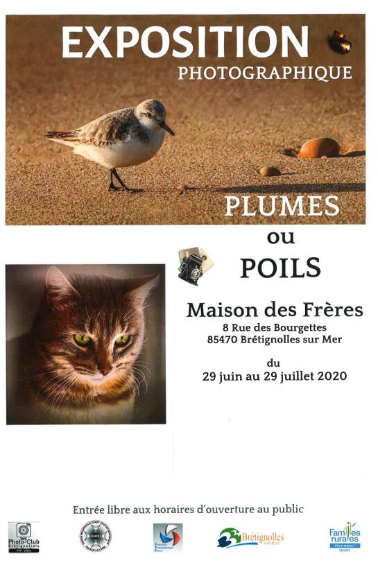 exposition