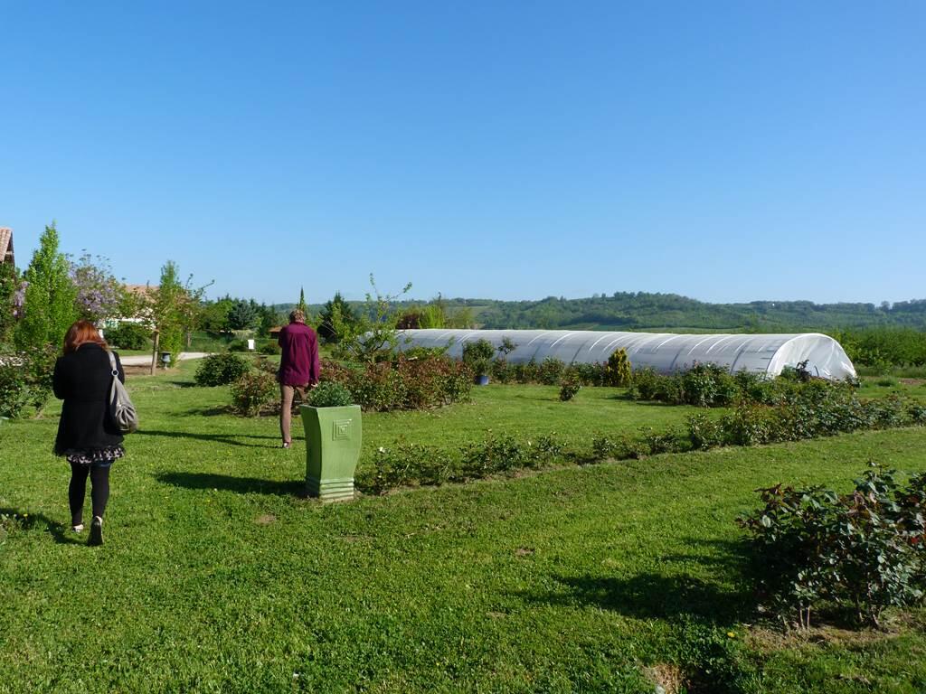 "Les Rosiers de Richard" Portes ouvertes