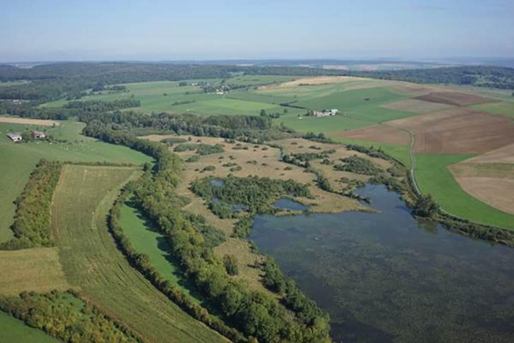 A la découverte du Vieil Etang de Bairon