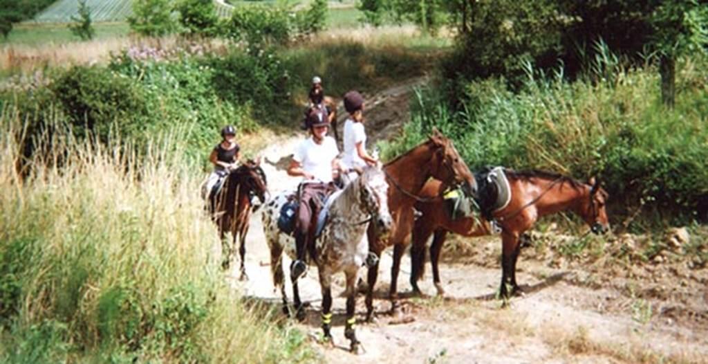 Les chemins de Nouka