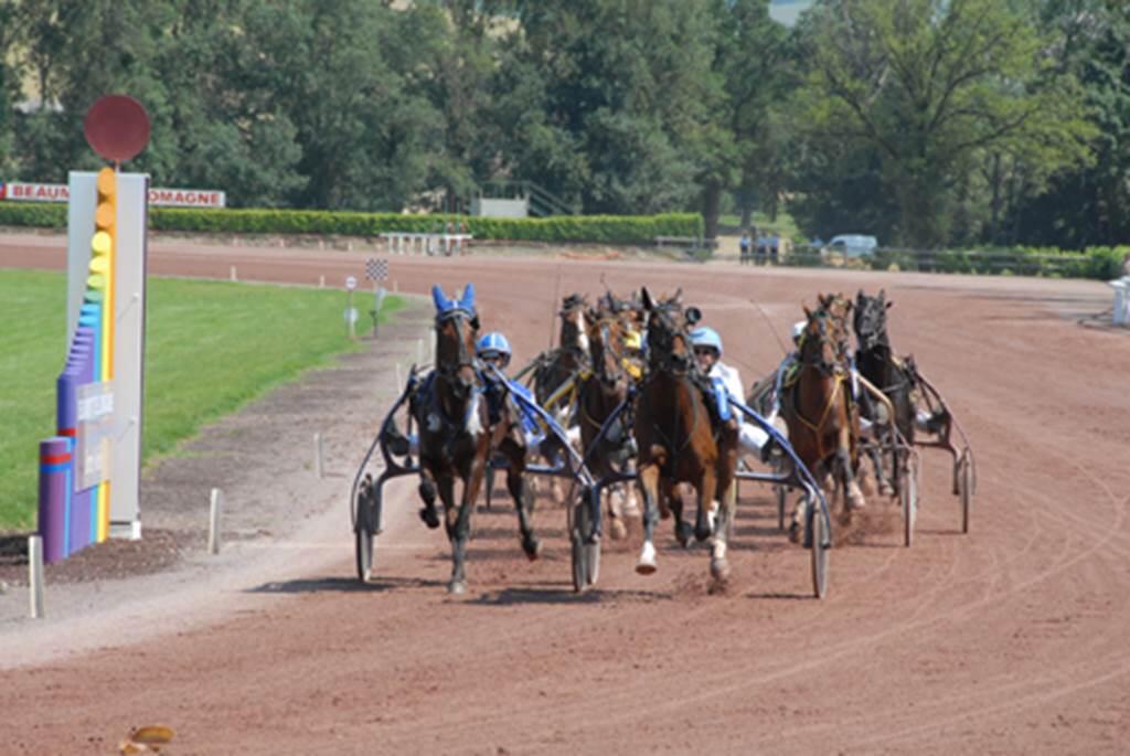 courses hippiques