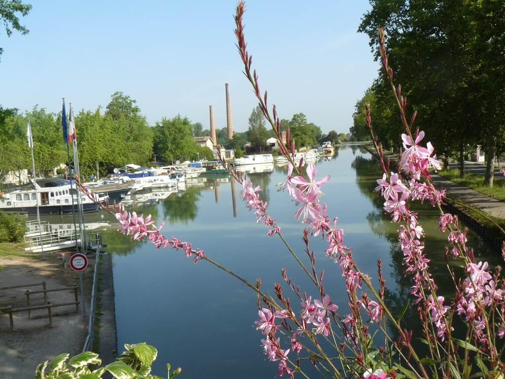 Balade commentée "Au Bord de l'Eau"