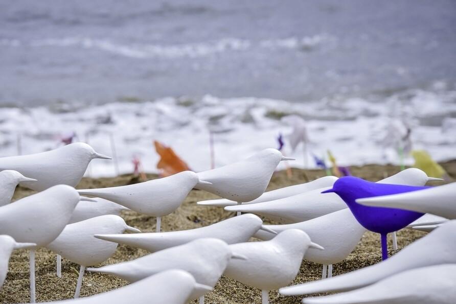 Les Mouettes