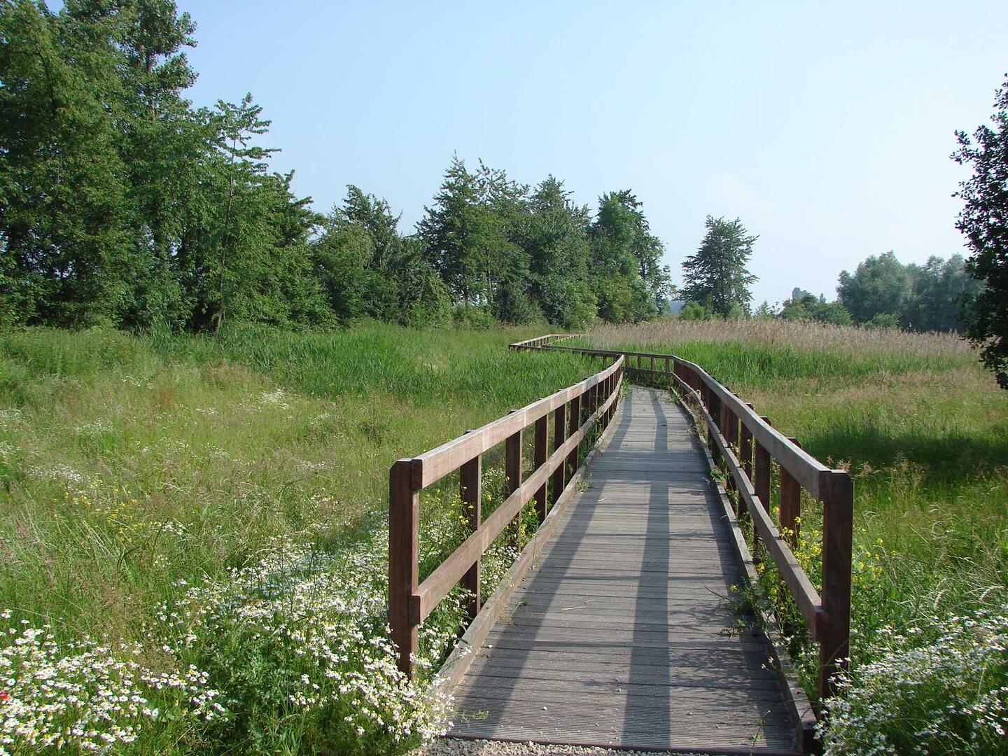 Découverte du site naturel du Wachnet