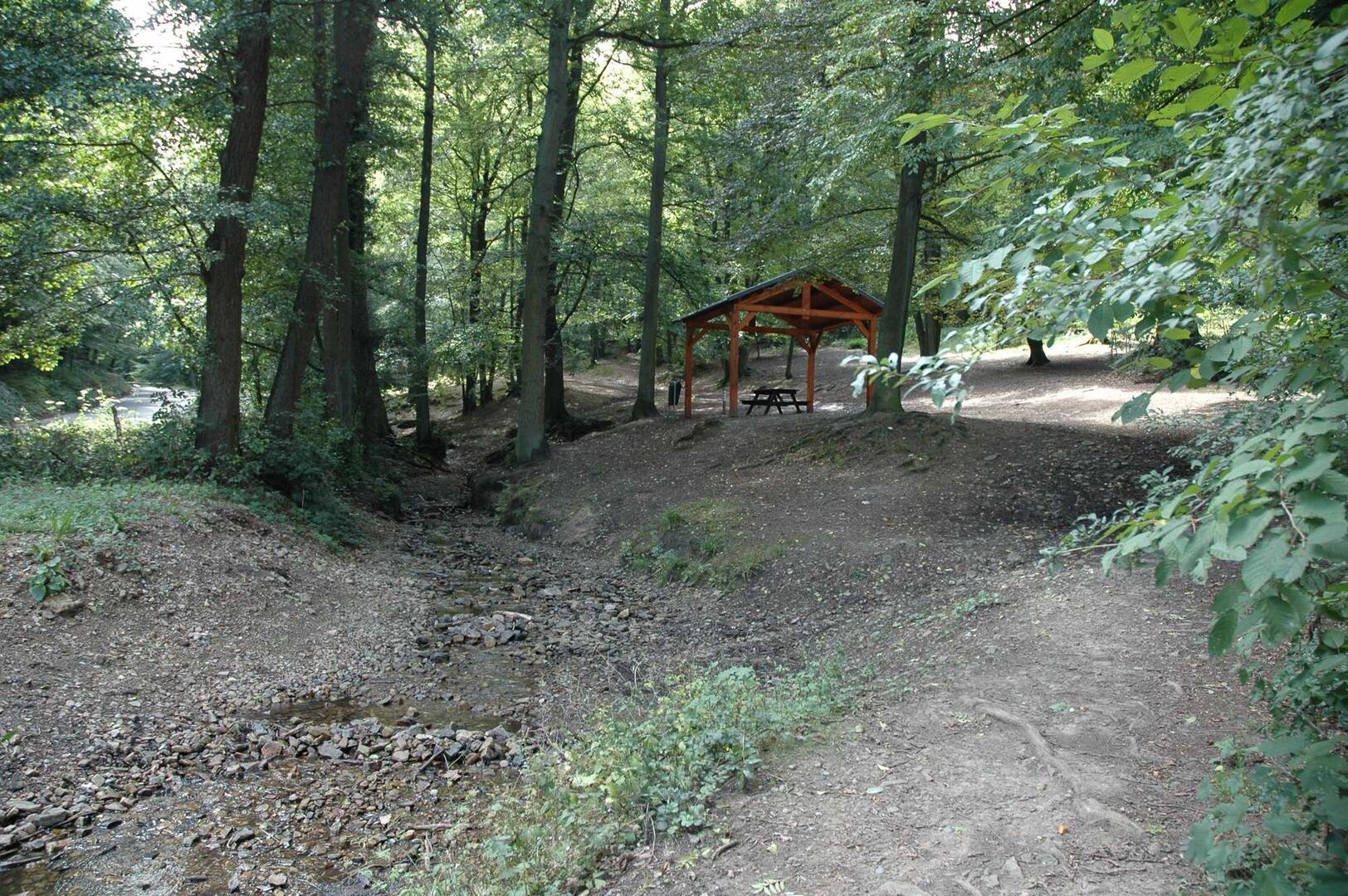 Bois de Tihange